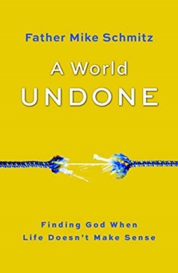 9781593255992 World Undone : Finding God When Life Doesn't Make Sense