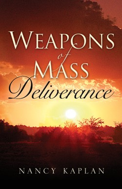 9781594674464 Weapons Of Mass Deliverance