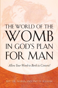 9781594675393 World Of The Womb In Gods Plan For Man