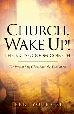 9781594675508 Church Wake Up