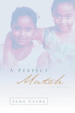 9781594678738 Perfect Match : A Novel