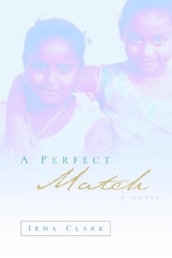 9781594678745 Perfect Match : A Novel