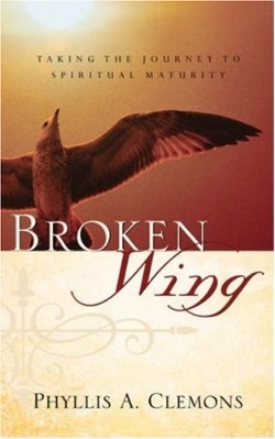9781594679421 Broken Wing : Taking The Journey To Spiritual Maturity