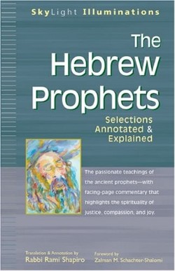 9781594730375 Hebrew Prophets : Selections Annotated And Explained