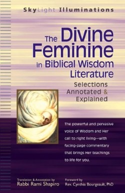 9781594731099 Divine Feminine In Hebrew Scripture And Biblical Wisdom Literature