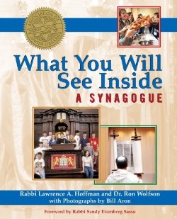 9781594732560 What You Will See Inside A Synagogue