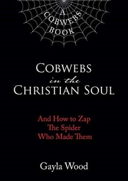 9781595559098 Cobwebs In The Christian Soul