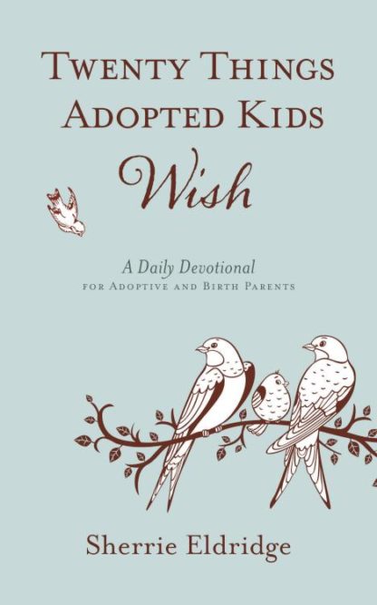 9781596694217 20 Things Adoptive Kids Wish