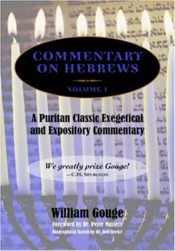 9781599250656 Commentary On Hebrews Volume 1
