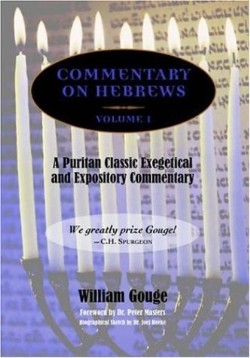 9781599250687 Commentary On Hebrews Volume 1