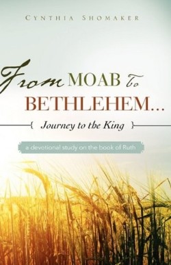 9781607911647 From Moab To Bethlehem