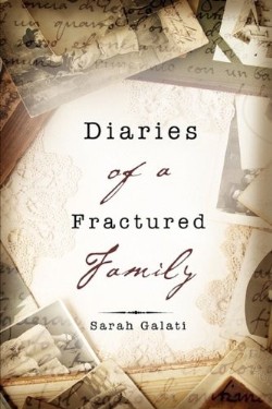 9781607916291 Diaries Of A Fractured Family