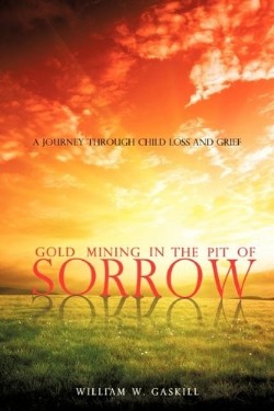 9781609571689 Gold Mining In The Pit Of Sorrow