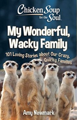 9781611590975 Chicken Soup For The Soul My Wonderful Wacky Family