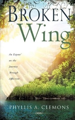 9781615795680 Broken Wing : An Expose On The Journey Through Affliction