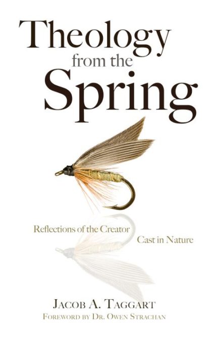 9781620207017 Theology From The Spring