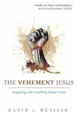 9781620324806 Vehement Jesus : Grappling With Troubling Gospel Texts