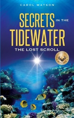 9781624196706 Secrets In The Tidewater