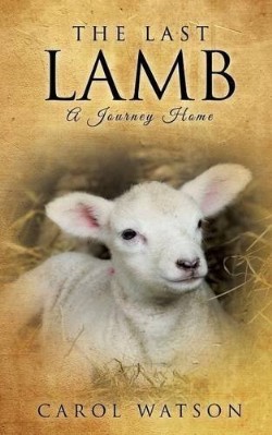 9781628719079 Last Lamb : A Journey Home