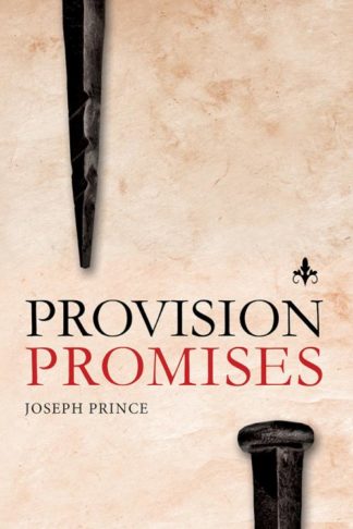 9781636410340 Provision Promises