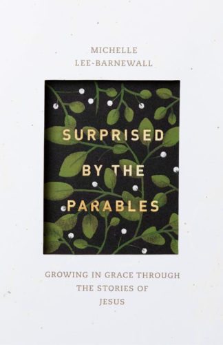 9781683592990 Surprised By The Parables