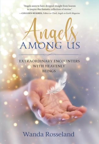 9781683970514 Angels Among Us