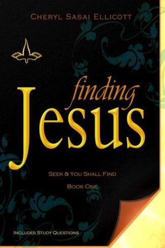 9781735634517 Finding Jesus