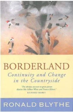 9781853118517 Borderland : Continuity And Change In The Countryside