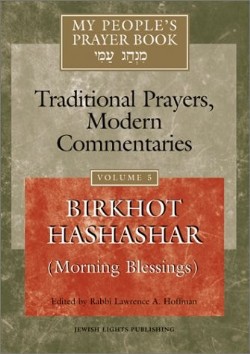 9781879045835 Birkhot Hashachar Morning Blessings