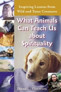 9781893361843 What Animals Can Teach Us About Spirituality