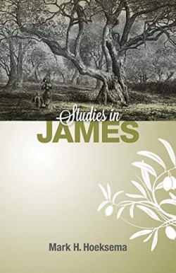 9781936054947 Studies In James