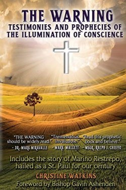 9781947701090 Warning : Testimonies And Prophecies Of The Illumination Of Conscience
