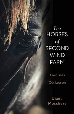 9781952025297 Horses Of Second Wind Farm