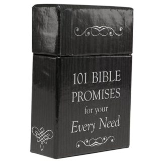 6006937115156 101 Bible Promises Box Of Blessings