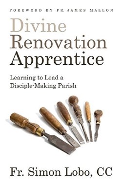 9781593253363 Divine Renovation Apprentice