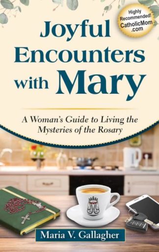 9781596145603 Joyful Encounters With Mary