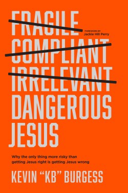 9781496459480 Dangerous Jesus : Why The Only Thing More Risky Than Getting Jesus Right Is
