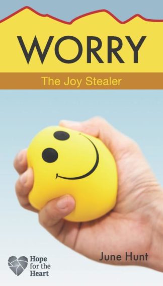 9781628629842 Worry : The Joy Stealer