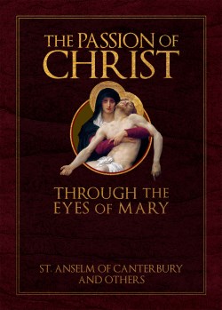 9781505127973 Passion Of The Christ Through The Eyes Of Mary