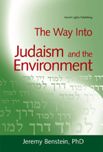 9781580232685 Way Into Judaism And The Environment