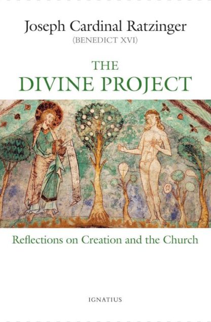 9781621645054 Divine Project : Reflections On Creation And The Church