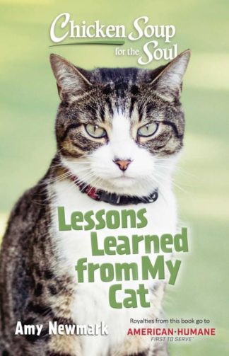 9781611590999 Chicken Soup For The Soul Lessons Learned From My Cat