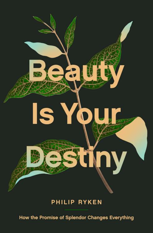 9781433587726 Beauty Is Your Destiny