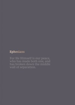 9780785236177 Bible Journal Ephesians Comfort Print