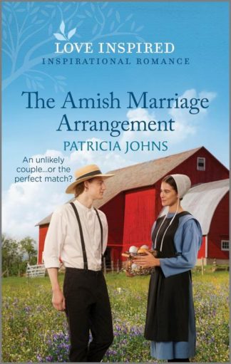 9781335596789 Amish Marriage Arrangement