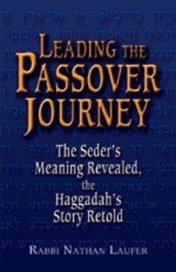 9781580233996 Leading The Passover Journey