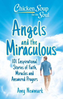 9781611591040 Chicken Soup For The Soul Angels And The Miraculous