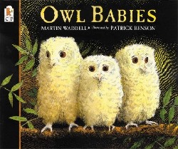 9780763612832 Owl Babies