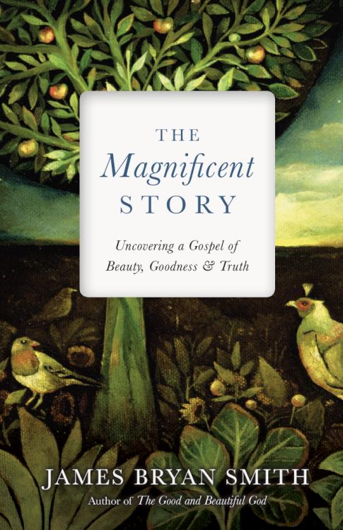 9780830846375 Magnificent Story : Uncovering A Gospel Of Beauty Goodness And Truth