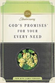 9781404104105 Gods Promises For Your Every Need (Anniversary)